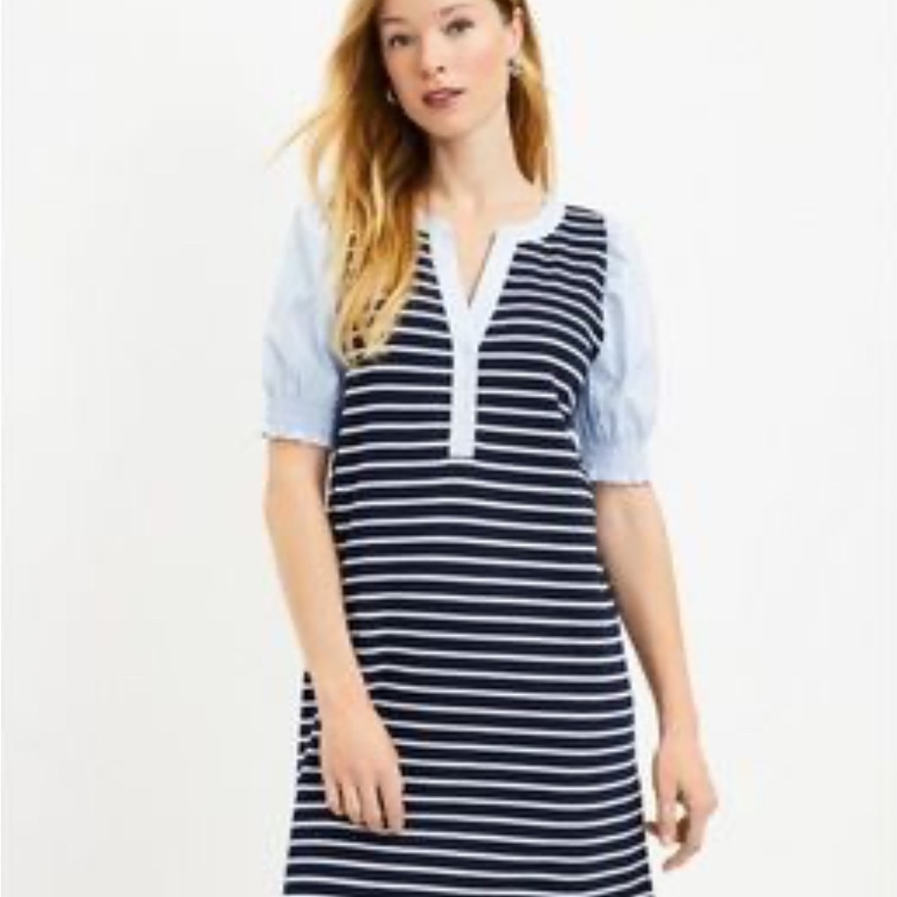 LOFT Navy and Light Blue Striped Dress